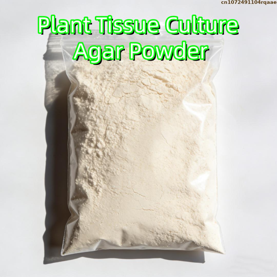 Agar Tissue Culture - プレミアム植物組織培養寒天粉末 高ゲル強度 マイクロプロパゲーションMS培地対応 ラボグレード